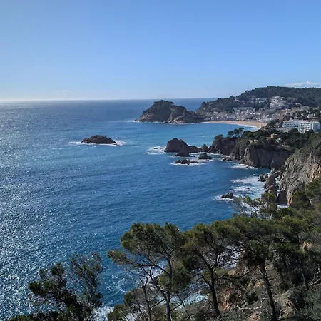 Voramar - A 50 m De La Playa, Parking Y A/a Διαμέρισμα *